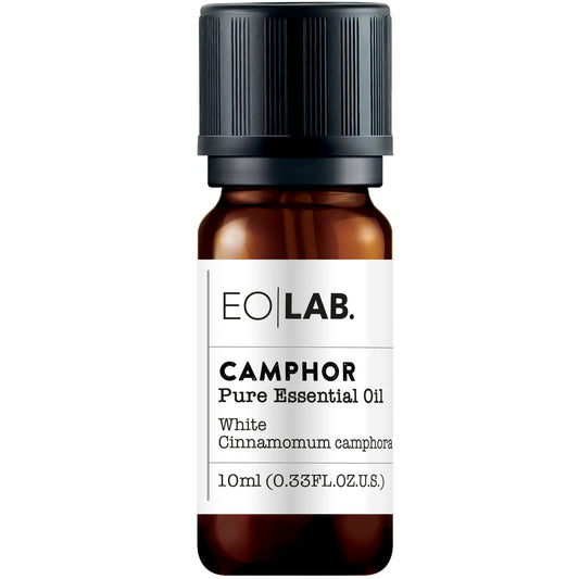 Camphor Essential Oil