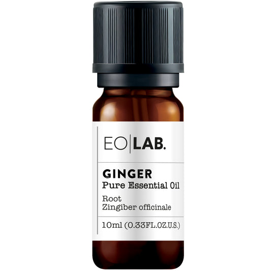 Ginger Essential Oil